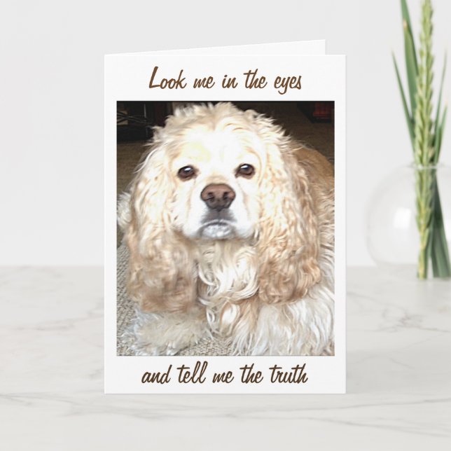 SPANIEL LOOK ME IN THE EYES/TELL ME TRUTH 40th FUN Card (Front)
