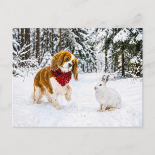Spaniel meets snow hare in winter forest postcard