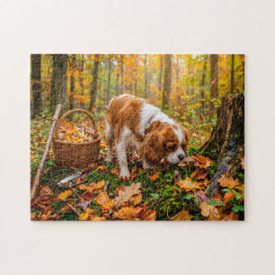 Spaniel mushroom search in autumn forest jigsaw puzzle