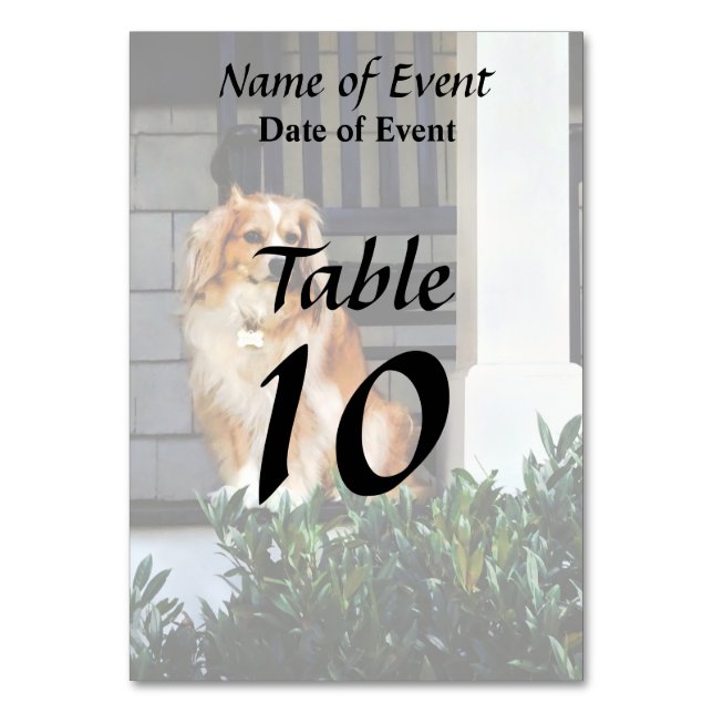 Spaniel on Porch Table Number (Front)