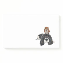 SPANIEL & OWL