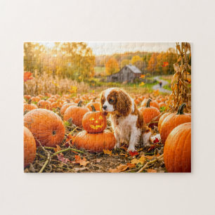 Spaniel puppy in autumn pumpkin field jigsaw puzzle