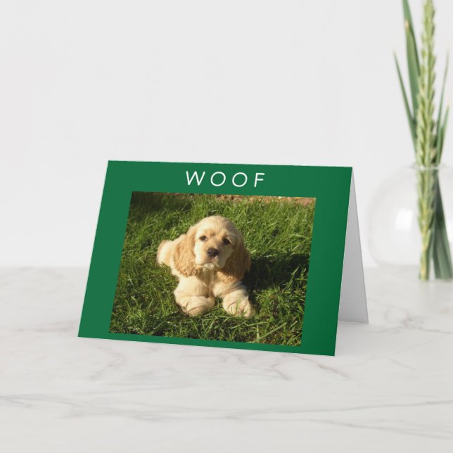 SPANIEL SAYS WOOF-AND-HAPPY BIRTHDAY MOM CARD (Front)