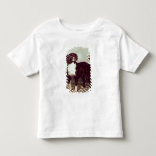 Spaniel Toddler T-Shirt