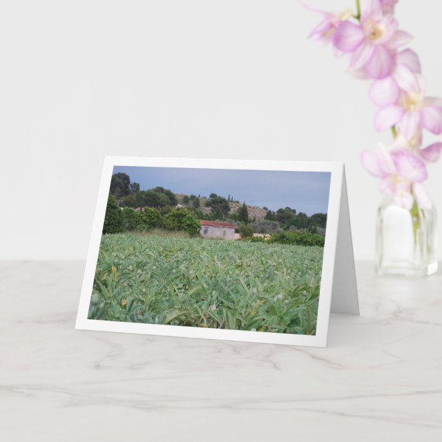 Spanish Artichoke Field, Valencia, Spain Card (Orchid)