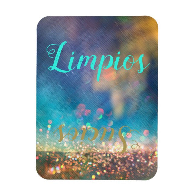 Spanish Aurora Clean Dirty Dishwasher Magnet (Vertical)