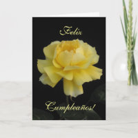 Spanish: birthday rose/ Cumpleanos, rosa