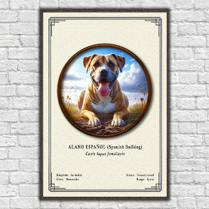 Spanish Bulldog (Alano Español) Zoology Series Poster