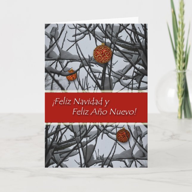 Spanish Christmas, Ornaments in Snow Holiday Card (Front)
