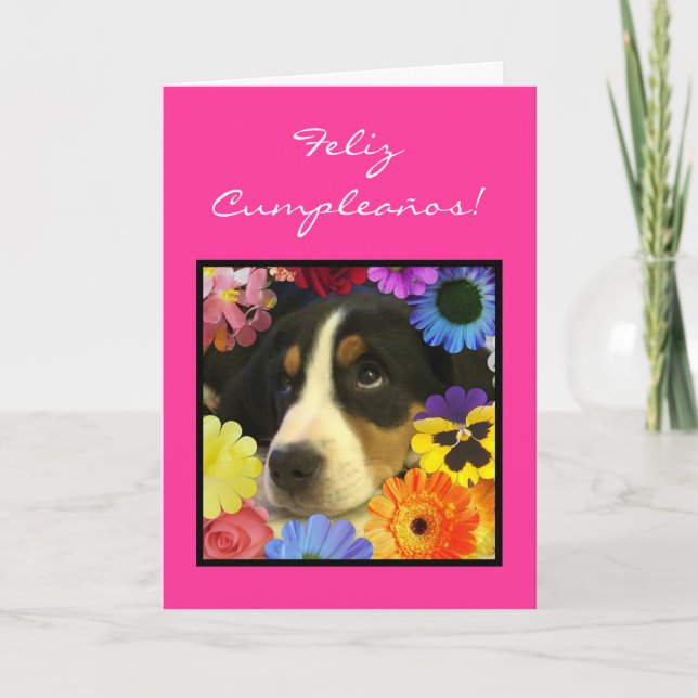 Spanish: Cumpleanos de nina - perrito Card (Front)