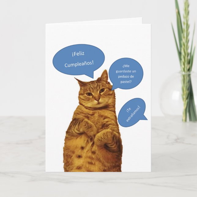 Spanish: Cumpleanos gatito Card (Front)