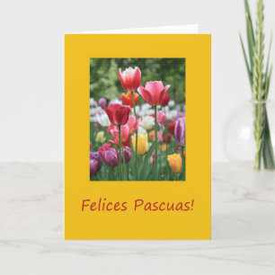 Spanish Easter Tulips Holiday Card