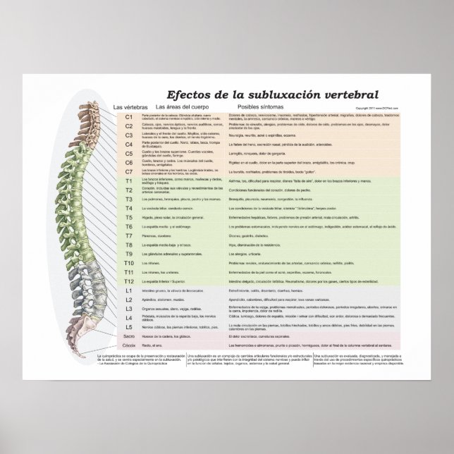 Spanish Effects of Spinal Subluxation Chiropractic Poster (Front)