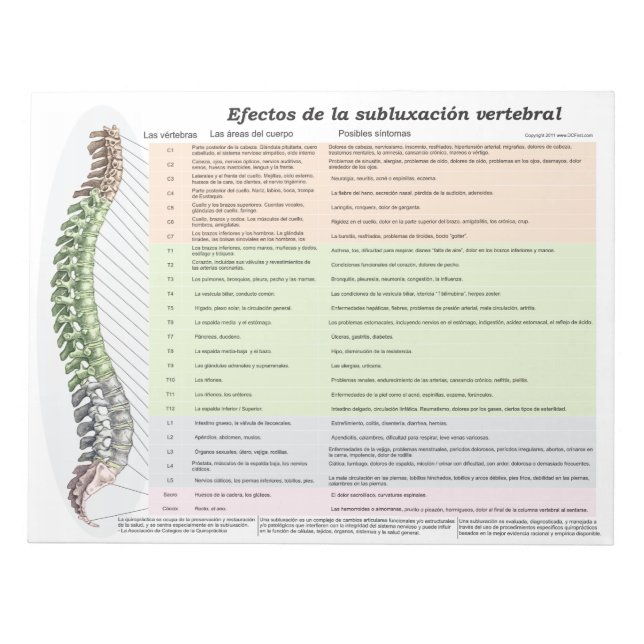 Spanish Effects of Spinal Subluxation Tear Off Not Notepad (Front)