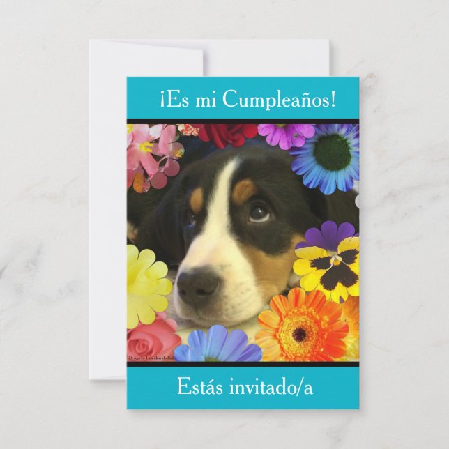 Spanish: Fiesta de cumpleaños - Invitación Invitation (Front)