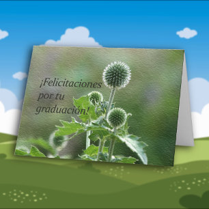 Spanish Graduation Card