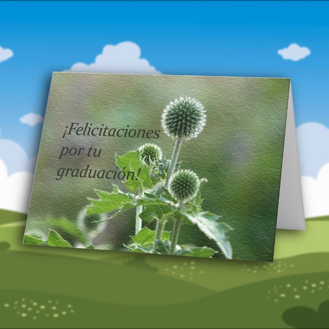 Spanish Graduation  Felicitaciones Card (Creator Uploaded)