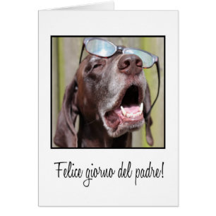 Spanish Happy Father's day