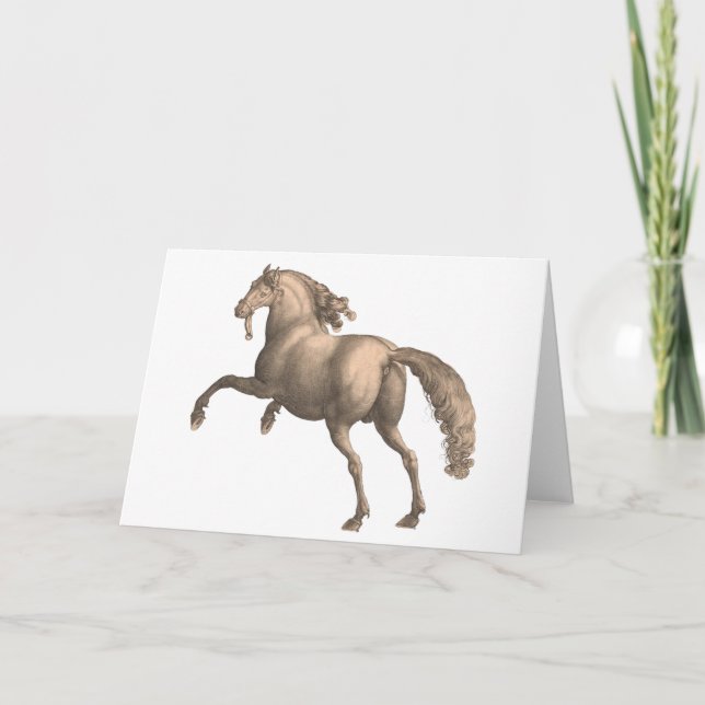 Spanish Horse - Greeting Card (Front)