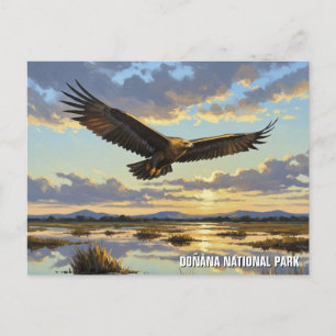 Spanish Imperial Eagle in Donana National Park Postcard