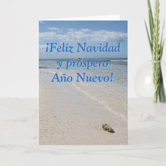 Spanish Isla Saona Caribbean Beach Merry Christmas Holiday Card (Front)