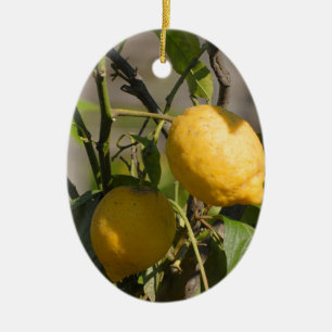 Spanish Lemon Graphics Ceramic Ornament