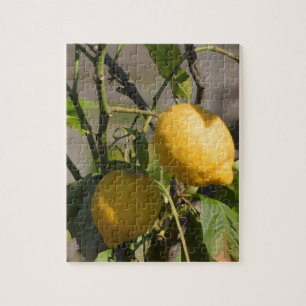 Spanish Lemon Graphics Jigsaw Puzzle