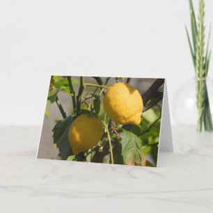 Spanish Lemon Greeting Cards