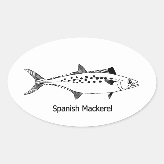 Spanish Mackerel - Vintage Line Art Oval Sticker (Front)