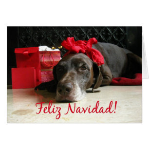 spanish merry christmas  pointer and gifts at fire