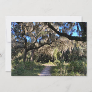Spanish Moss Card