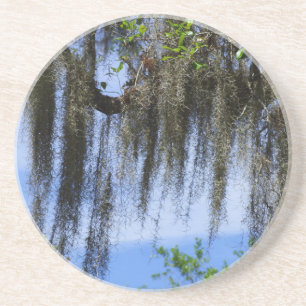 Spanish Moss in the Blue Ridge Mountains Coaster