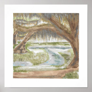 Spanish Moss Print