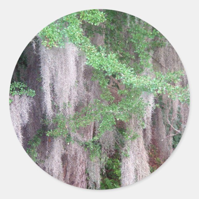 Spanish Moss Sticker (Front)