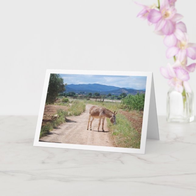 Spanish Mule on Country Road Card (Orchid)