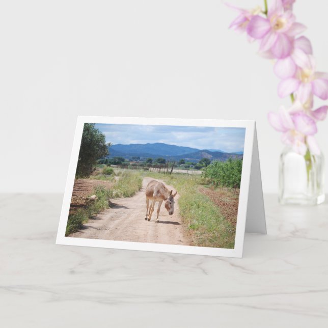 Spanish Mule on Country Road Card (Orchid)