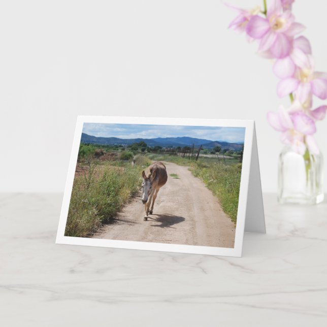 Spanish Mule on Country Road Card (Orchid)