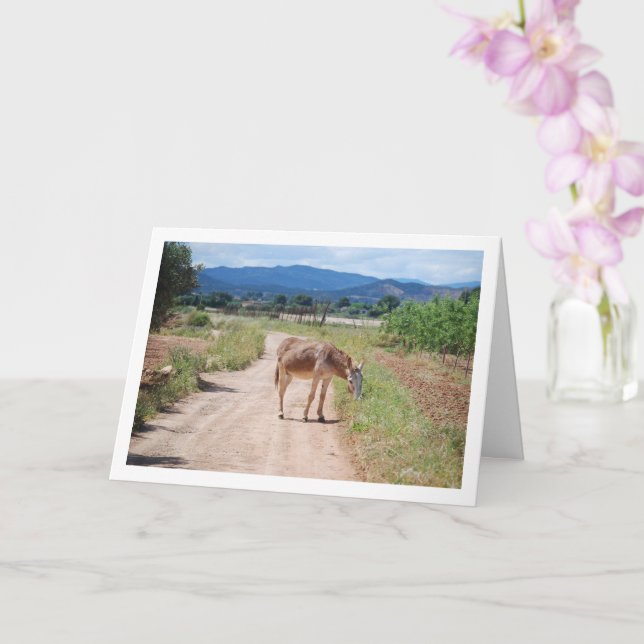 Spanish Mule on Country Road Card (Orchid)