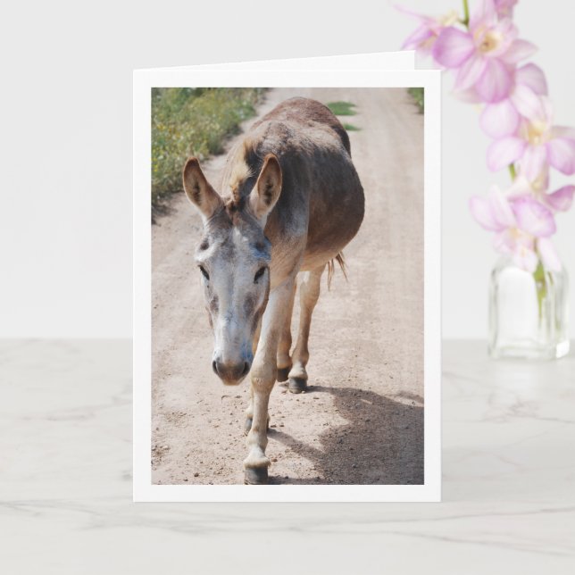 Spanish Mule Portrait Card (Orchid)