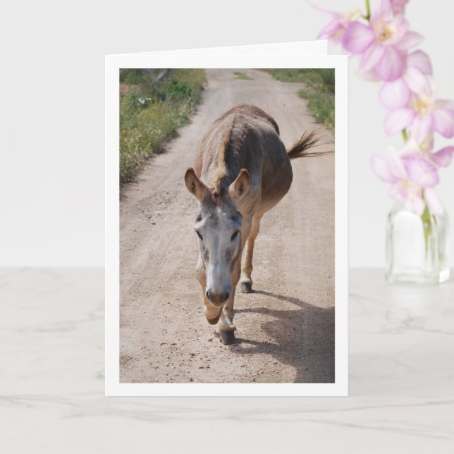Spanish Mule Portrait Card (Orchid)