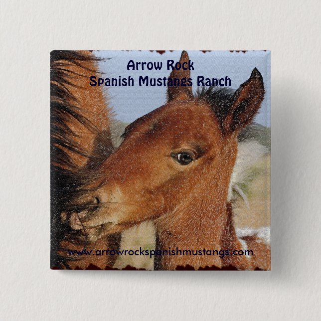 Spanish Mustang Foal Button (Front)