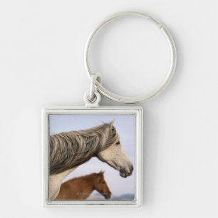 Spanish Mustangs Key Ring