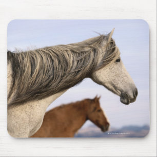 Spanish Mustangs Mouse Pad