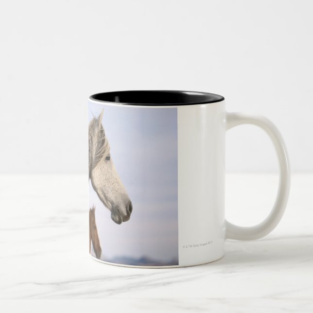 Spanish Mustangs Two-Tone Coffee Mug (Right)