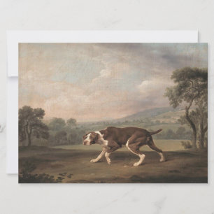 Spanish Pointer Dog (by George Stubbs) Card