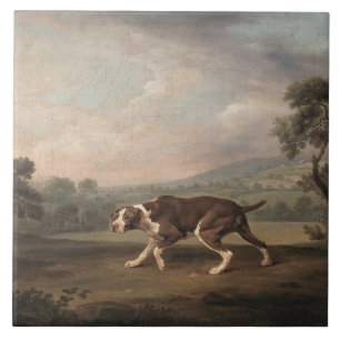 Spanish Pointer Dog (by George Stubbs) Ceramic Tile