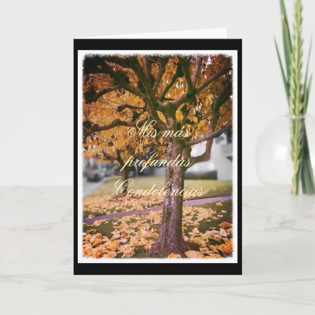 Spanish: sympathy card (Front)