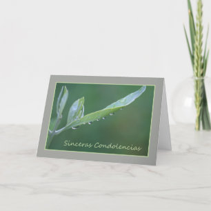 Spanish Sympathy Raindrops on Olive Leaf Card