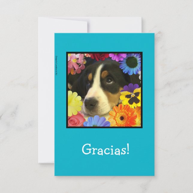 Spanish: Thank you card / Gracias! (Front)