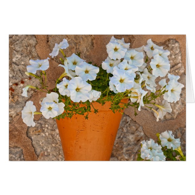 Spanish Wall (Front Horizontal)